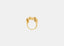 Riquet ring