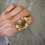 Laumière Petit Ring