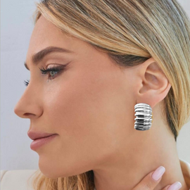 Duroc Argent earrings