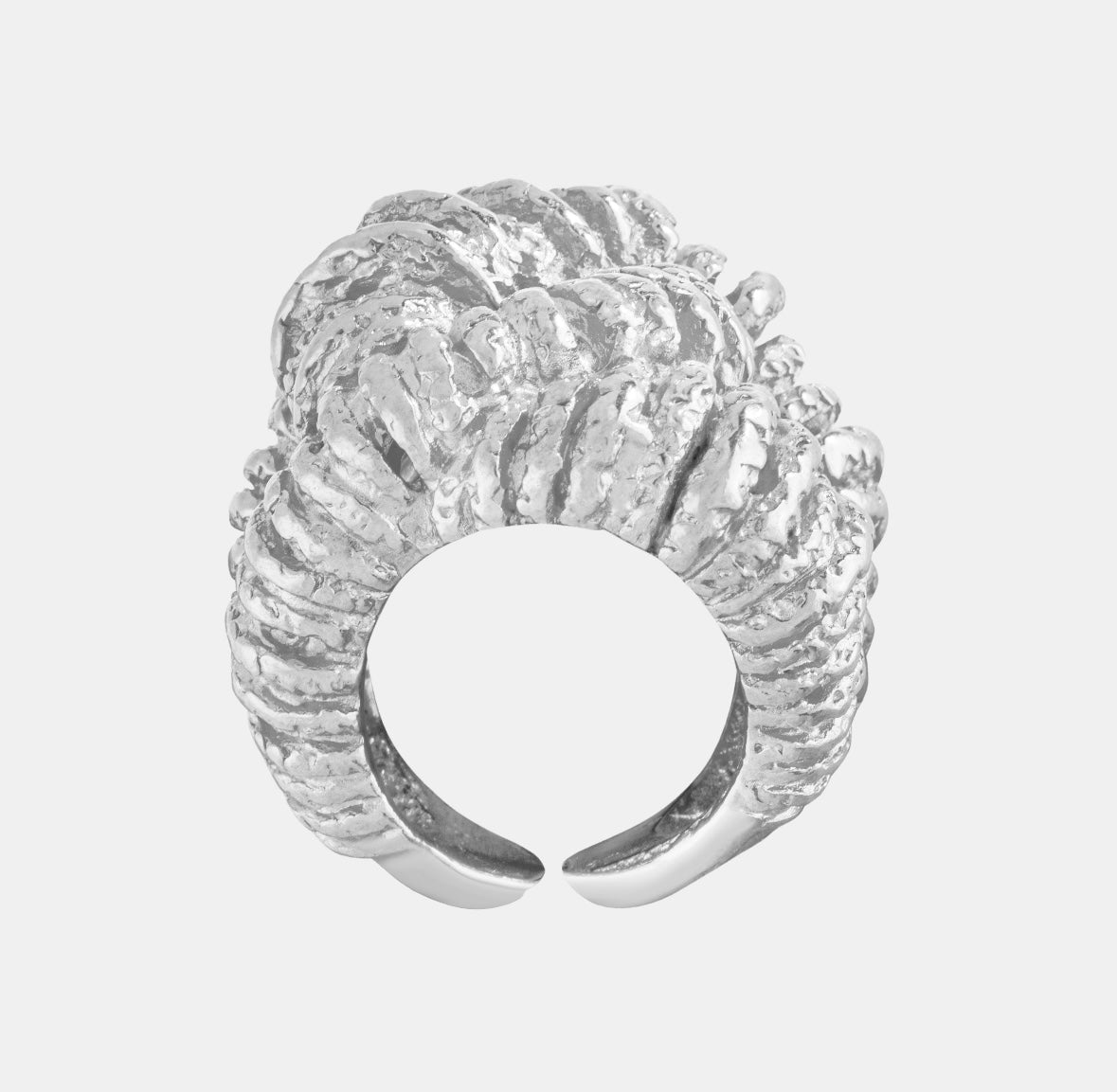 Ring Fougères Silber