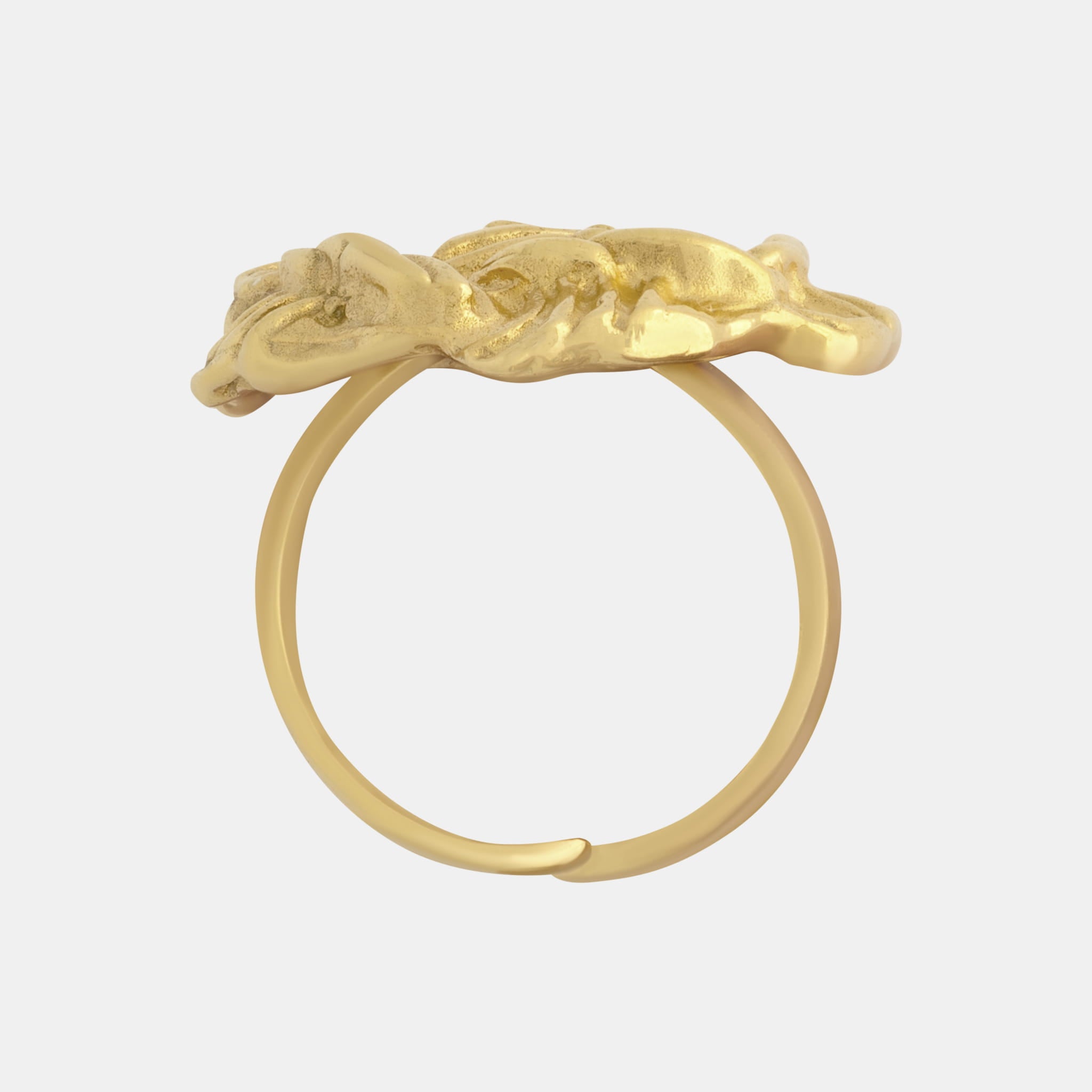 Der Françoise-Ring