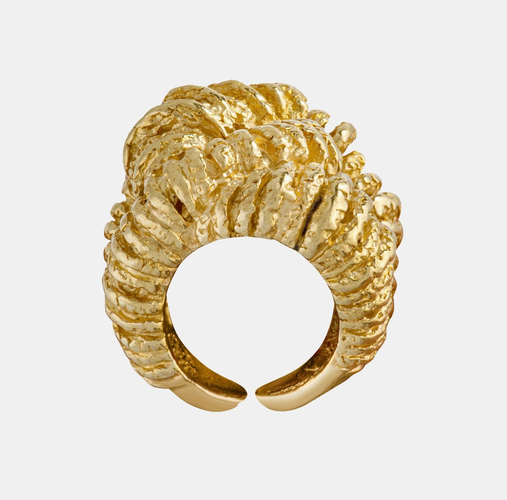Fougères-Ring