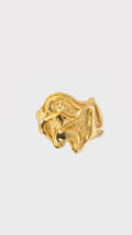 Ring Porte Dorée