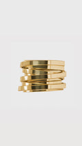 Bizot-Ring