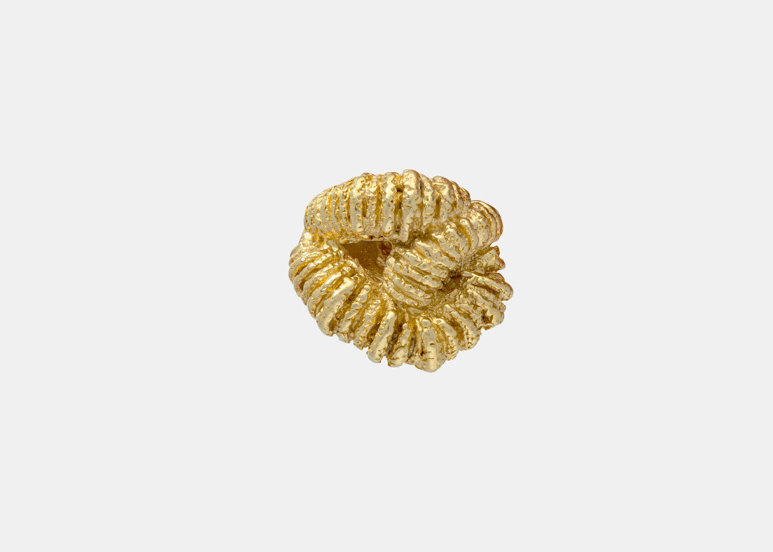 Fougères-Ring