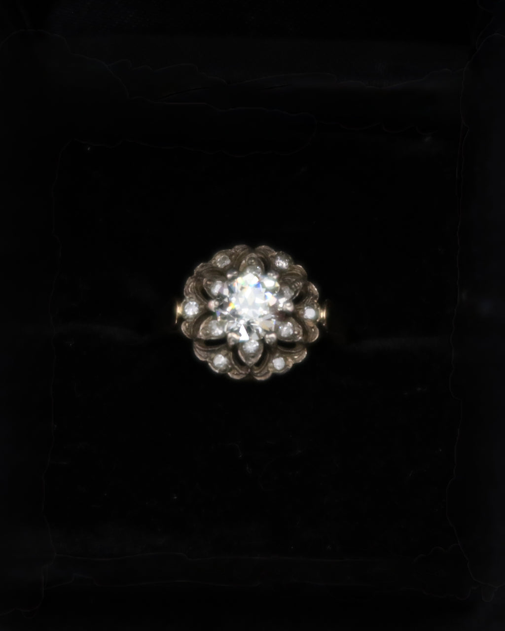 Ring Fleur de Lumière