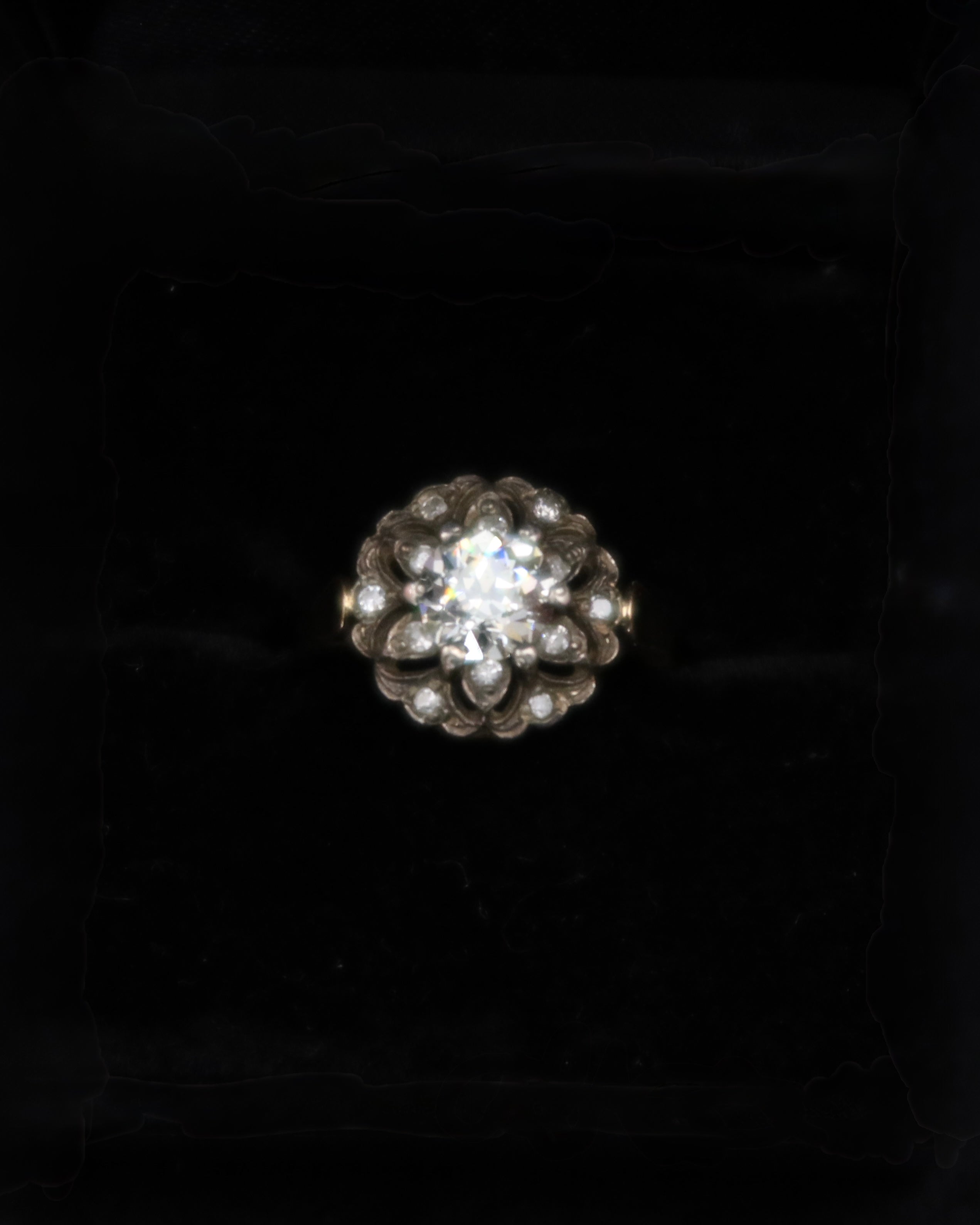 Ring Fleur de Lumière