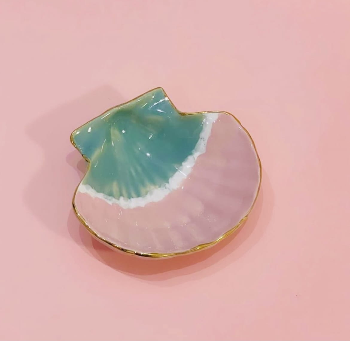 Muschelschale zweifarbig