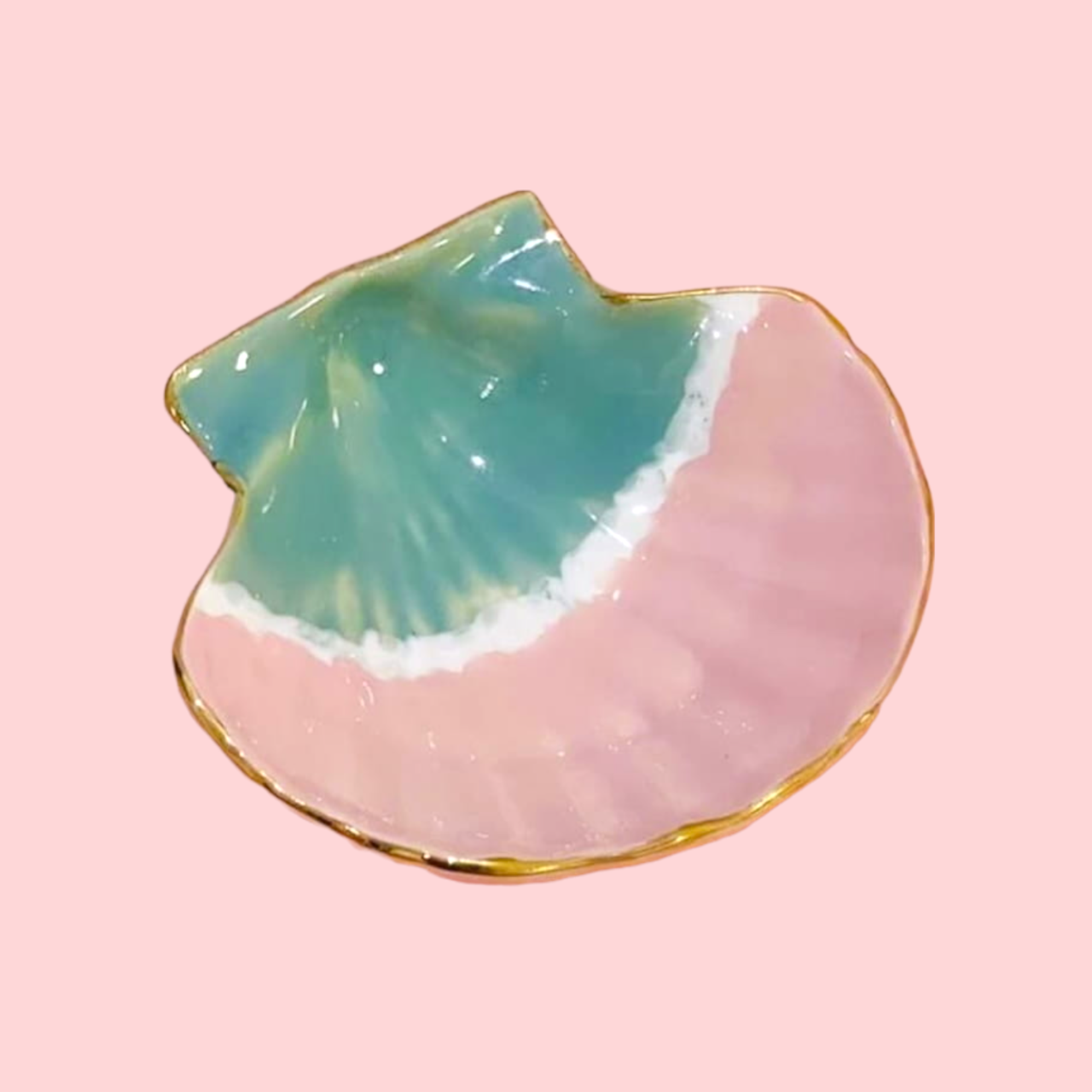 Muschelschale zweifarbig