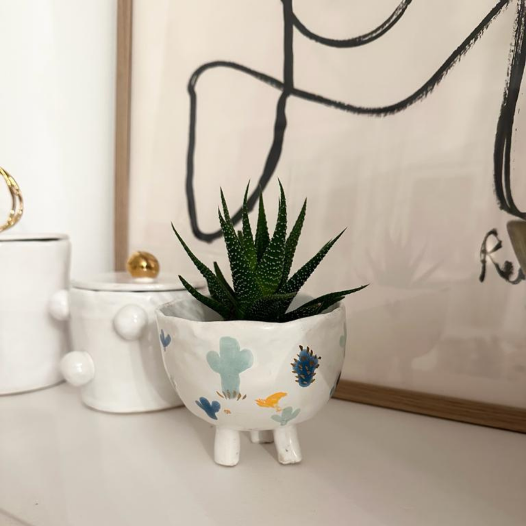 CACTUS POT